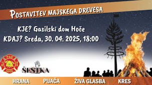 Tradicionalna postavitev majskega drevesa in kresovanje v Hočah 2025