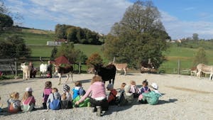 Nedeljske urice z živalmi za najmlajše