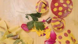 Mavrične testenine z Urško Šobak