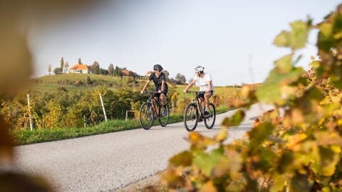 mestni vrh stanko kozel