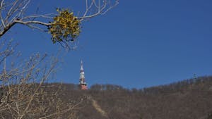34. Pohod družin na Boč
