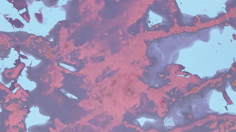 Razstava Laure Sperl LOW TIDE