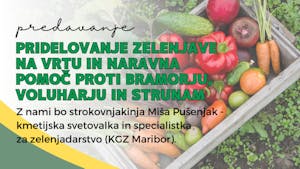 Pridelovanje zelenjave na vrtu in naravna pomoč proti bramorju, voluharju in strunam - predavanje Miše Pušenjak