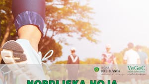 Nordijska hoja