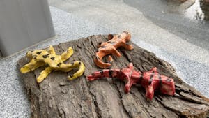 RAZSTAVA UČENCEV IN VRTČEVSKIH OTROK