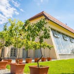 Dvorec Dornava Oranžerija