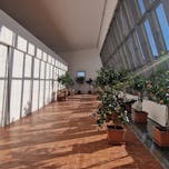 Dvorec Dornava Oranžerija