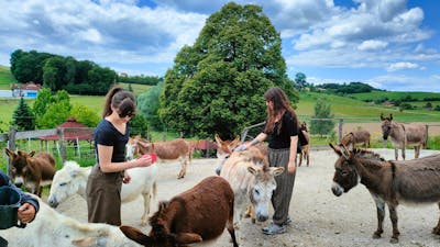 Voden ogled posestva in druženje z živalmi