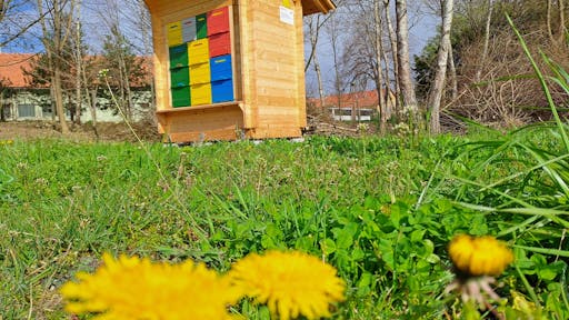 cebelarsko_drustvo_race