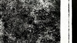 Poletna muzejska noč v Galeriji Media Nox