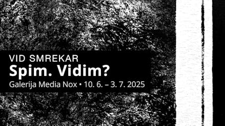 Razstava Spim. Vidim?