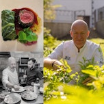 Kulinarični večer z zvezdami