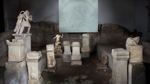 VODEN OGLED PTUJSKIH MITREJEV