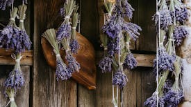 Rezanje sivke in izdelava šopkov