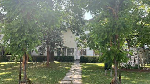 Koncert Mladega umetnika