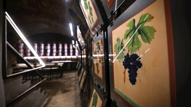 Poletna muzejska noč v Muzeju najstarejše trte na svetu