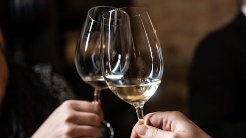 Martinovanje na Ptuju 2025