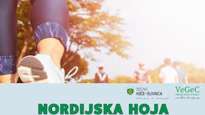 Nordijska hoja