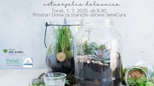 Izdelava rastlinskega terarija (ustvarjalna delavnica)