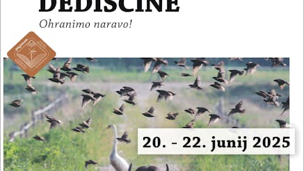 𝟑. 𝐕𝐢𝐤𝐞𝐧𝐝 𝐨𝐝𝐩𝐫𝐭𝐢𝐡 𝐯𝐫𝐚𝐭 𝐃𝐞𝐬𝐭𝐢𝐧𝐚𝐜𝐢𝐣𝐞 𝐉𝐞𝐫𝐮𝐳𝐚𝐥𝐞𝐦 𝐒𝐥𝐨𝐯𝐞𝐧𝐢𝐣𝐚