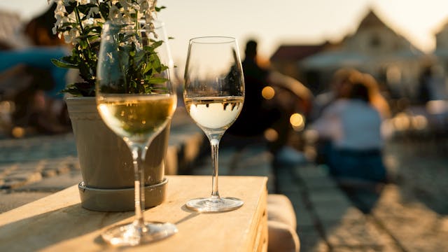 Poletje pri Najstarejši trti: Vinski večer z vini Bračko