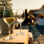 Poletje pri Najstarejši trti: Vinski večer z vini Bračko