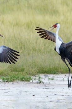 Park prostoživečih živali