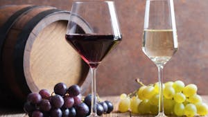 Vinski večer z Vini Vinogradništva Plajnšek