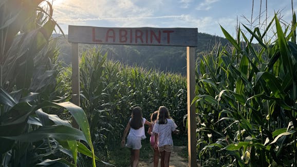 Koruzni labirint v Mariboru