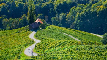 Srce med vinogradi Arhiv slovenia.info
