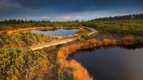 Regijski park Pohorje