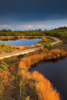 Regijski park Pohorje