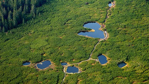 Regijski park Pohorje