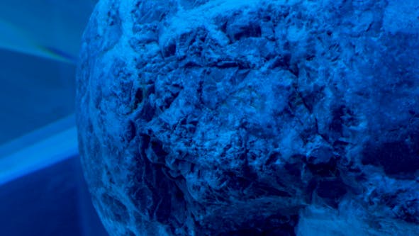 Petra Kapš / Dew. Gaia ∞ Cosmos