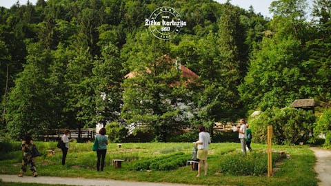 Opojne dišave zelišč na 3 načine