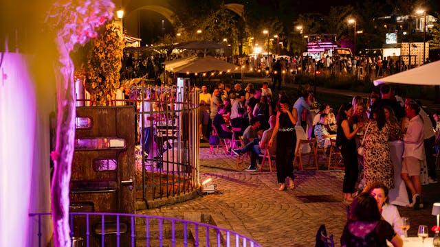 Poletje pri Najstarejši trti: Vinski večer z vini Ducal