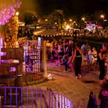 Poletje pri Najstarejši trti: Vinski večer z vini Ducal