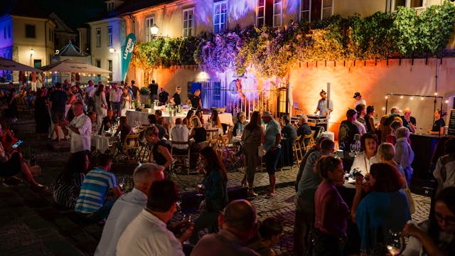 Poletje pri Najstarejši trti: Vinski večer z vini Sanctum