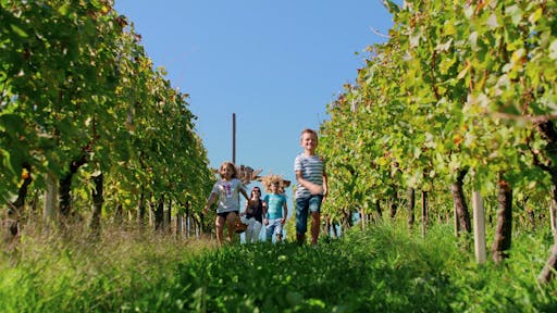 4. Vikend odprtih vrat