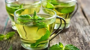 Degustacija zeliščnih napitkov