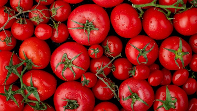 3. festival paradižnika