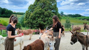 Voden ogled posestva in druženje z živalmi