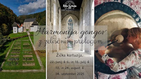 Harmonija gongov z zeliščnim prologom