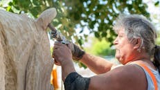 Mednarodna kiparsko‑slikarsko kolonija Rogatec 2025