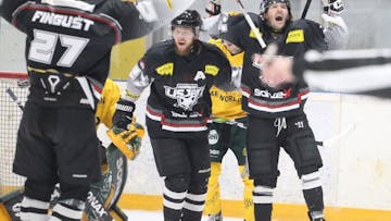 Dan hokeja v Mariboru