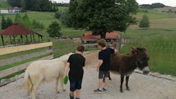 Počitniško varstvo na kmetiji