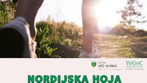 Nordijska hoja