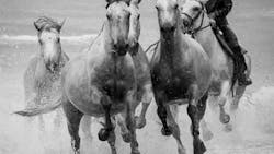 BELA GRIVA: Fotografska razstava Iva Usarja