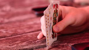 Družabne igre: Metanje krogov na kol, rusko kegljanje, turnir v šnopsu