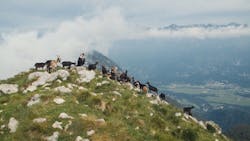 Ogled filma Drežniška koza in njeni ljudje